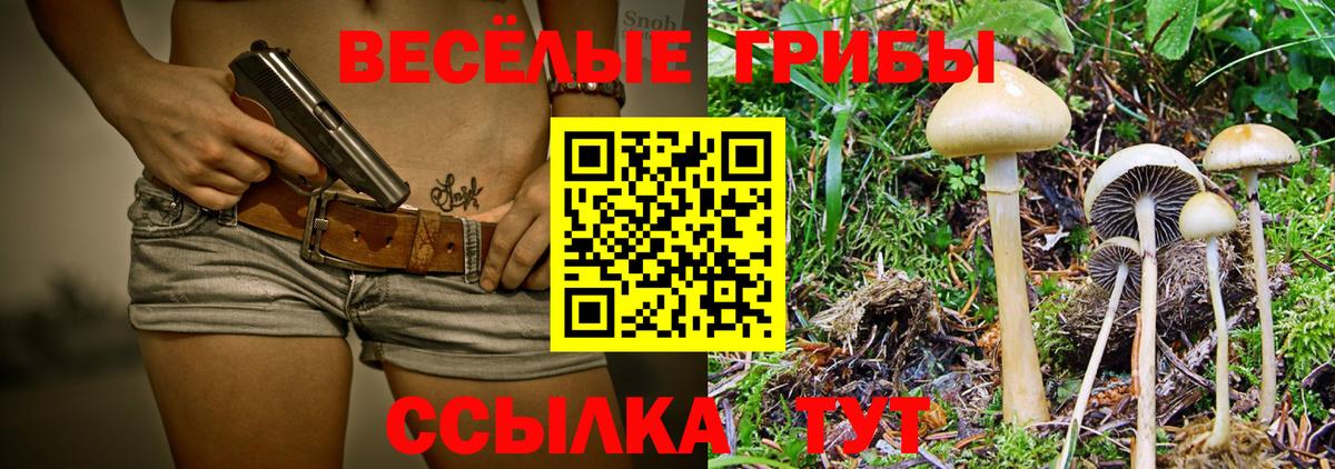 Псилоцибиновые грибы Cubensis  Галлюциногенные грибы Psilocybe  Великий Новгород  Вход с VPN 