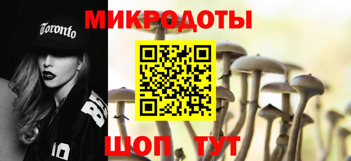 Галлюциногенные грибы Cubensis Великий Новгород